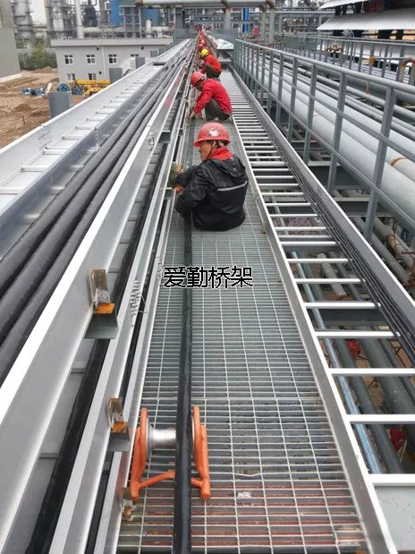 1563955883657020.jpg 640.webp (33).jpg